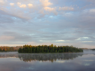 forest lake in summer
