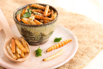 Food Insects: Bamboo worm (Bamboo Caterpillar) insect fried crispy for eating as food items on dish and in wooden spoon on sackcloth, it is good source of protein edible for future food concept.