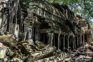 Ta prohm temple ruins at Angkor, Siem Reap Province, Cambodia