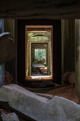Ta prohm temple ruins at Angkor, Siem Reap Province, Cambodia
