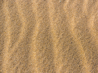 Fototapeta na wymiar Desert sand dunes pattern. beautiful natural background