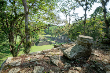 Foot Sculpture in Mayan Ruins / Copan Ruinas Honduras