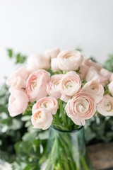 Persian buttercup in glass vases. Bunch pale pink ranunculus flowers light background. Wallpaper....