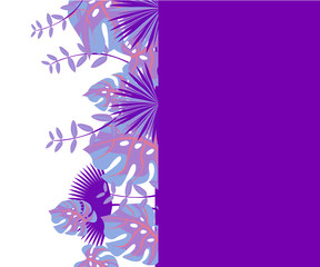 invitation card monstera proton purple