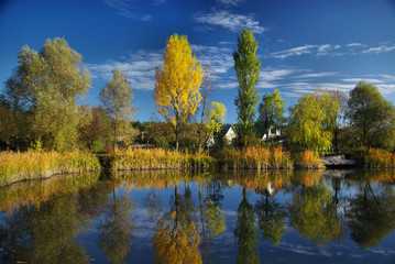 Fototapeta premium Отражение в воде