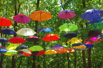 Multicolored umbrellas are suspended from treetops. Festive decoration