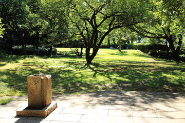 初夏の公園