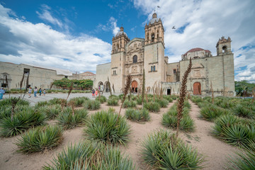 Fototapeta na wymiar Church and Garden in Oaxaca City Mexico