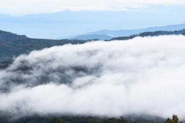 Landscape sea of fog at the mountains, Thailand