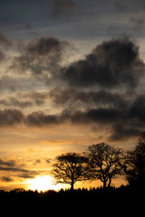 Winter sunset over farmland in the rural county of Hampshire