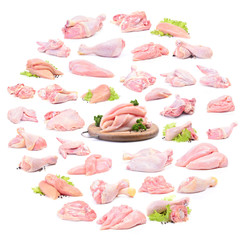Meat chicken collection © valeriy555