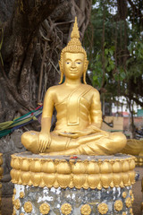 Fototapeta premium buddhist statue