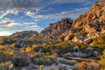 Obraz premium Barker Dam - Joshua Tree National Park