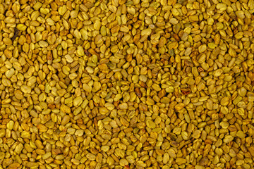 Background of the fenugreek seeds