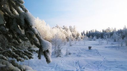winter landscape