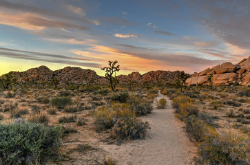 Joshua Tree National Park