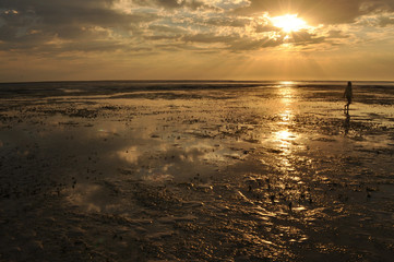 ケーブルビーチ