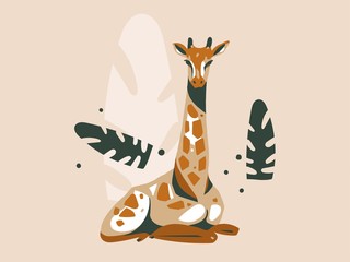Hand drawn vector abstract cartoon modern graphic African Safari Nature concept illustrations art card with giraffe animal and tropical palm leaves isolated on pastel color background © anastasy_helter