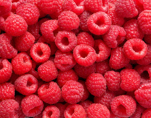 fresh raspberries as textured background