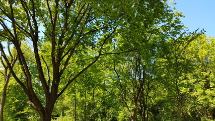 Serengeti Park Germany ( Hodenhagen)	