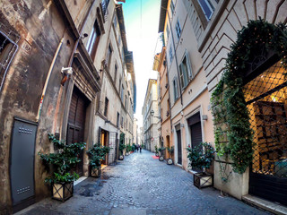 Fototapeta na wymiar Beautiful Alley in Rome