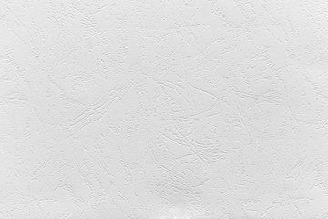 Texture of embossed white paper for background and design.