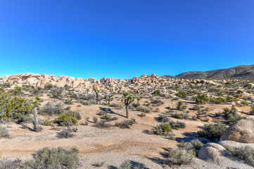 Rocky Landscape - Joshua Tree National Park