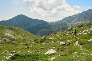 Fototapeta na wymiar Paesaggio montano con rocce e erba verde