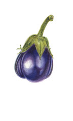 Fresh Eggplant vegetable with stem or aubergine