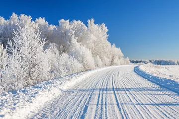 winter landscape with road and forest