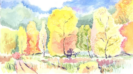 Fotobehang Goud Geel Panoramic of colorful countryside landscape in autumn  © miminoshka12