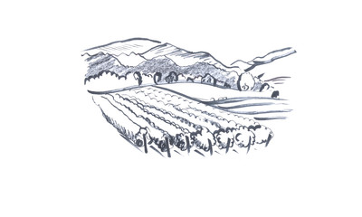 Mountains landscape sketch