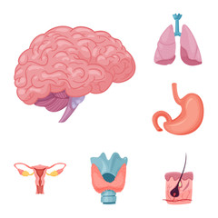 Isolated object of body and human symbol. Collection of body and medical vector icon for stock.