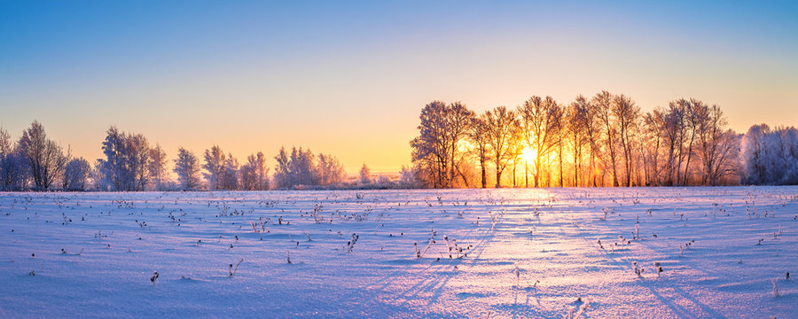 winter landscape panorama with sunrise