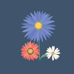 flower on white background with copy space for text