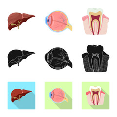 Vector design of body and human logo. Collection of body and medical vector icon for stock.
