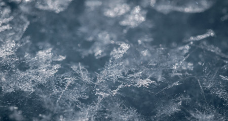 Frozen water. Snowflakes sparkling in the sun