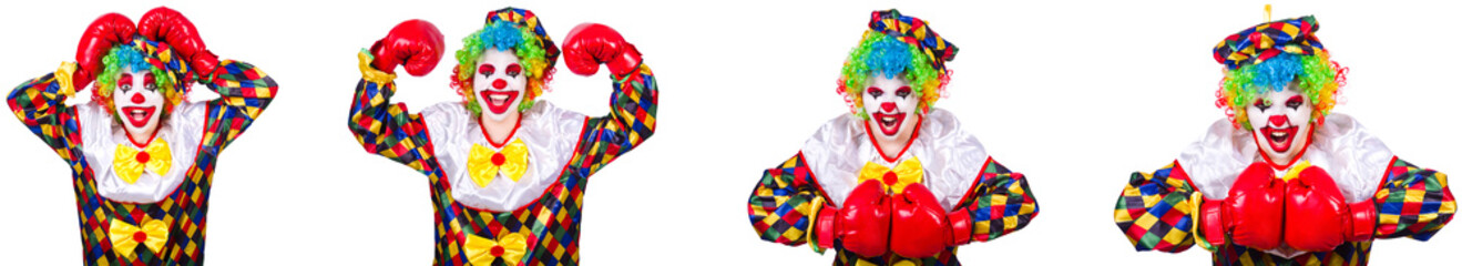 Funny male clown with boxing gloves 