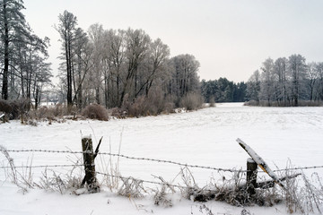 Zimowy krajobraz Podlasia, Polska © podlaski49