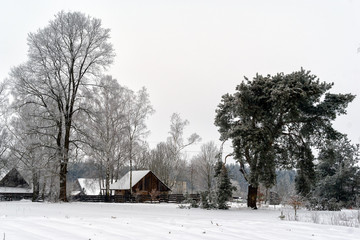 Zimowy krajobraz Podlasia, Polska © podlaski49