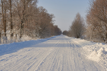 Fototapeta na wymiar Snow covered road surrounded by trees on a winter day.
