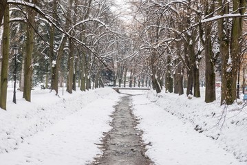 vrnjacka banja winter landscape. 