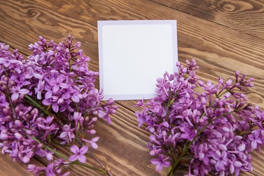 purple lilac branch on wooden background. Blank, greeting card. Natural background. Empty space