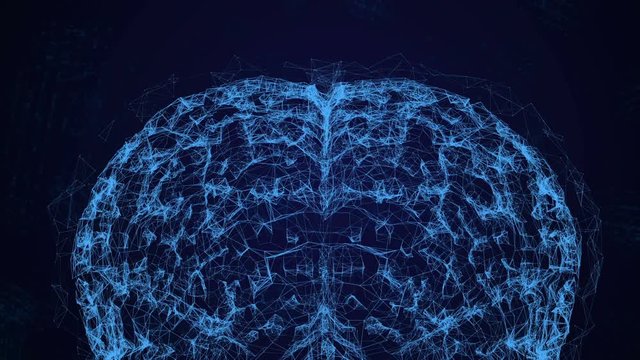brain animation, data mining, in-depth study of modern computer technology. The human brain model consisted of many lines and points. alpha channel