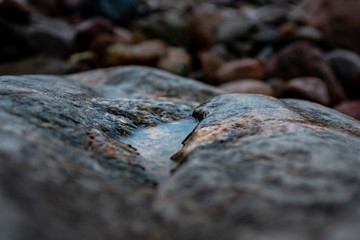A recess in a large granite stone has gathered a small puddle of rain water