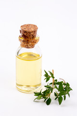 Oil of thyme fresh sprigs of thyme