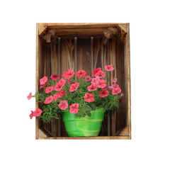 Fototapeta na wymiar Insulated Wooden Crate with Potted Flower