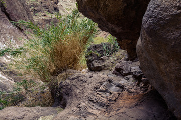 Hiking in Gorge Masca. Volcanic island. Mountains of the island of Tenerife, Canary Island, Spain.