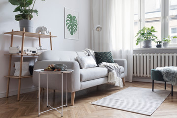 Stylish and minimalistic scandinavian interior with design sofa,tropicla plants, bookstand, coffee table, cozy blanket and carpet. White background walls, brown wooden parquet and modern lamp. 