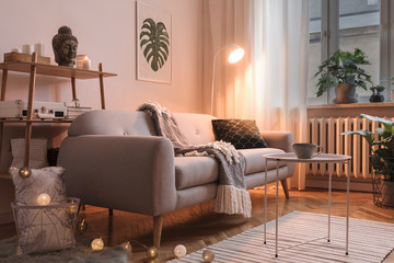 Stylish scandinavian interior with design sofa, poster, plants, bookstand, coffee table, cozy...